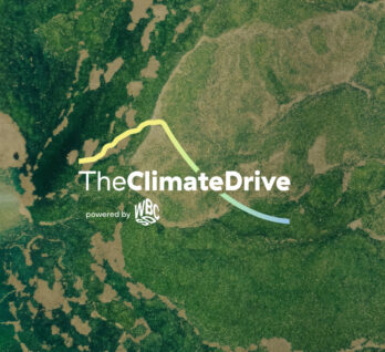 TfS partners with The Climate Drive to advance supply chain decarbonisation