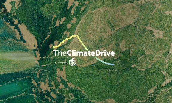 TfS partners with The Climate Drive to advance supply chain decarbonisation